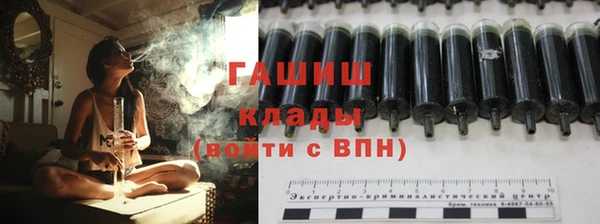 индика Михайловск