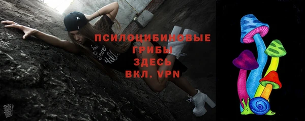 индика Михайловск