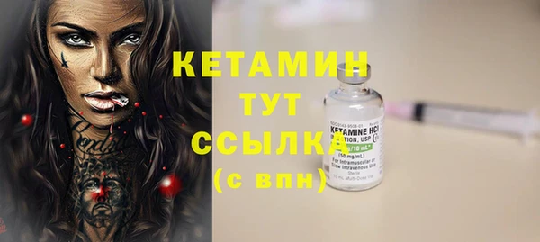 индика Михайловск