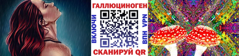 продажа наркотиков Черемхово Галлюциногенные грибы GOLDEN TEACHER